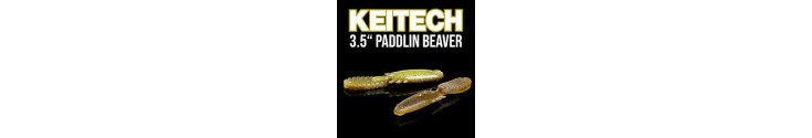 Paddlin’ Beaver 3.5